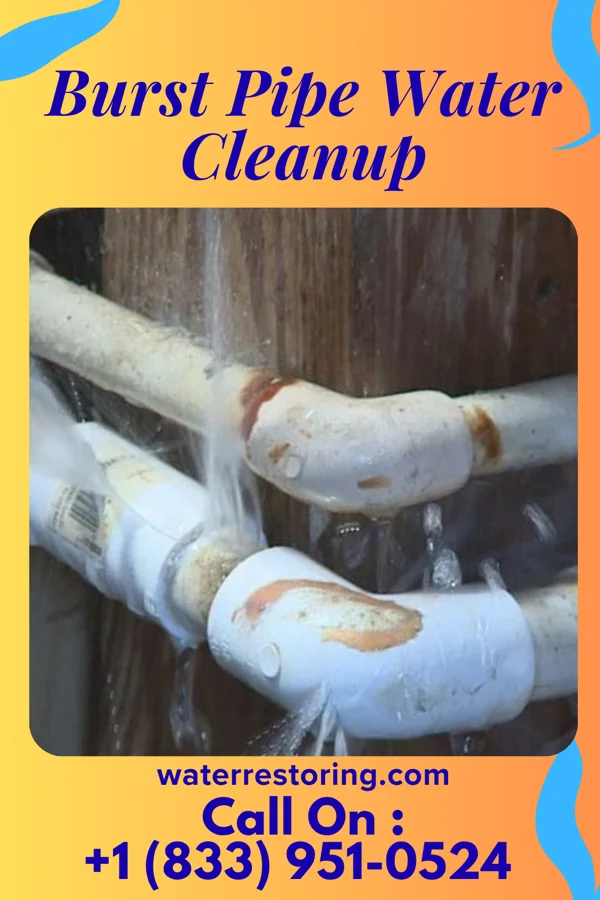 Burst Pipe Water Cleanup in Plains, TX
