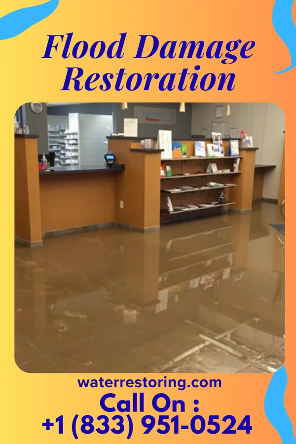 Flood Damage Restoration in Plains, TX