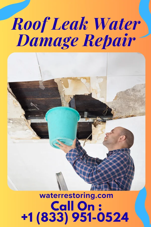 Roof Leak Water Damage Repair in Plains, TX