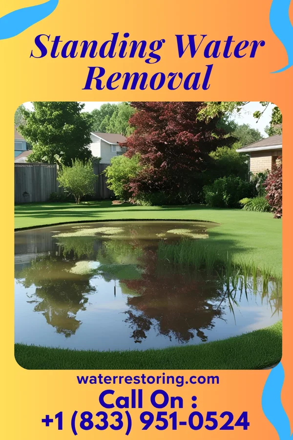 Standing Water Removal in Plains, TX